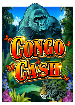 slot auto wallet ถอนเงิน ไม่ ได้ ปัญหาที่ควรรู้